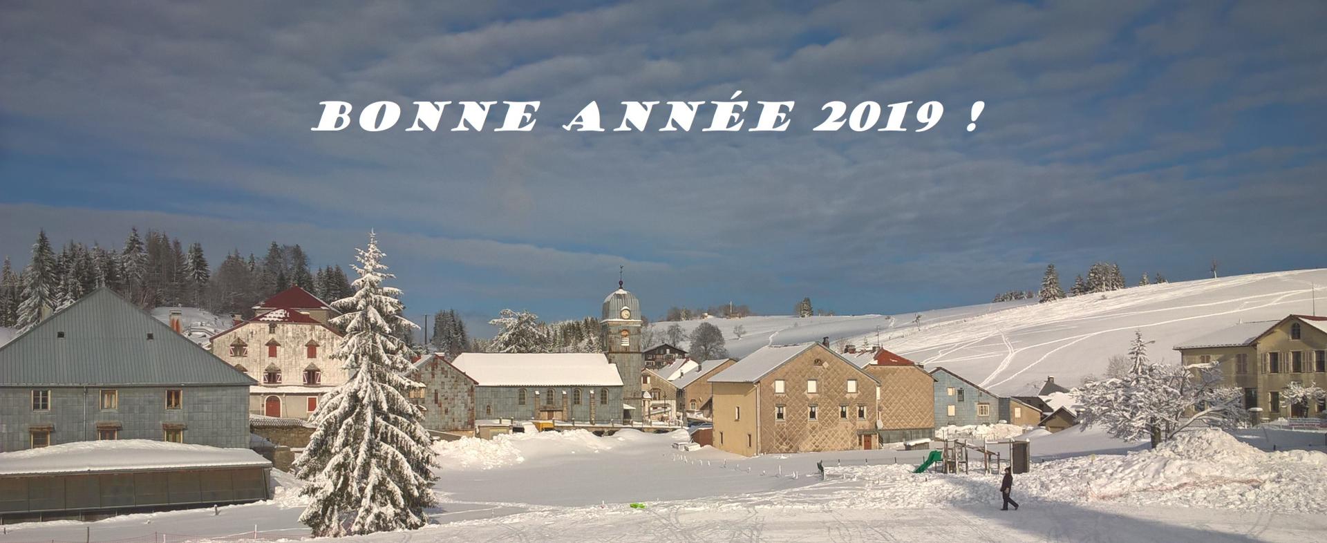 Bonne annee 2019