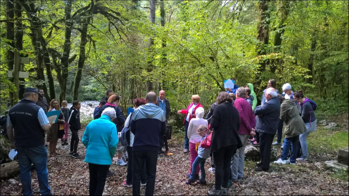 Marche à la fontaine aux oiseaux